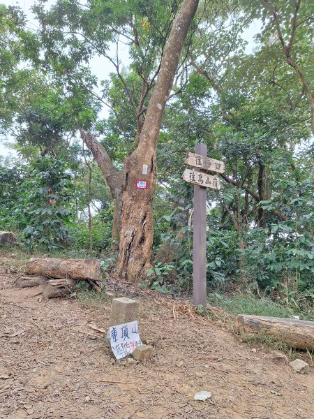 烏山嶺水利古道+鳥子嶺O型2967447