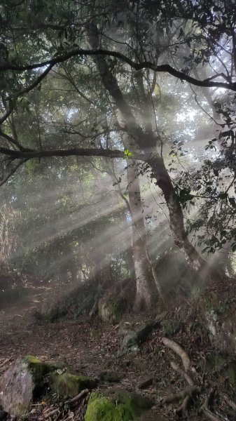 2024/11/9 馬那邦山、細道邦山2645413