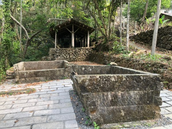 樟湖山、後棟仔山、大尖山、二尖山4山連走1337013