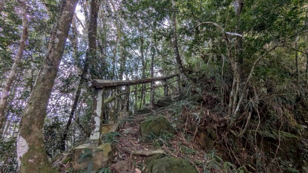 九份二山步道2861235