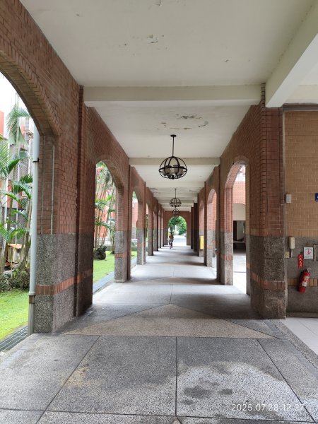 臺大舟山路、大港墘公園、成功高中【臺北健走趣】2848140