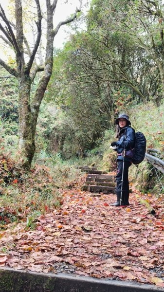神阿縱走~台灣難抵極~大塔山2971489
