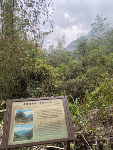 奮瑞瑞太古道3060182