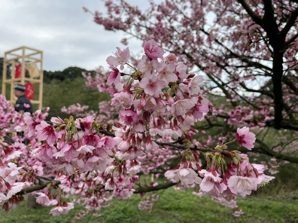 山仔頂步道2708423