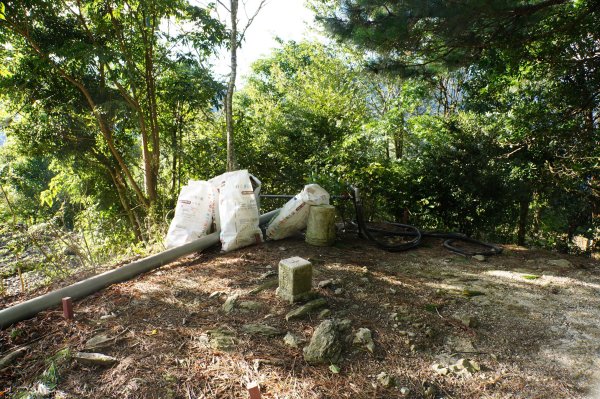 桃園 復興 把家灣山、低陸山2865344