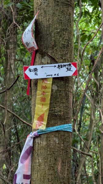 114.05.17聖人崙-聖人瀑布之旅2789511