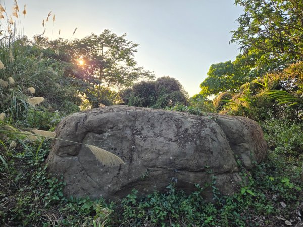 2025-12-30  南化牛港嶺點將石2972711