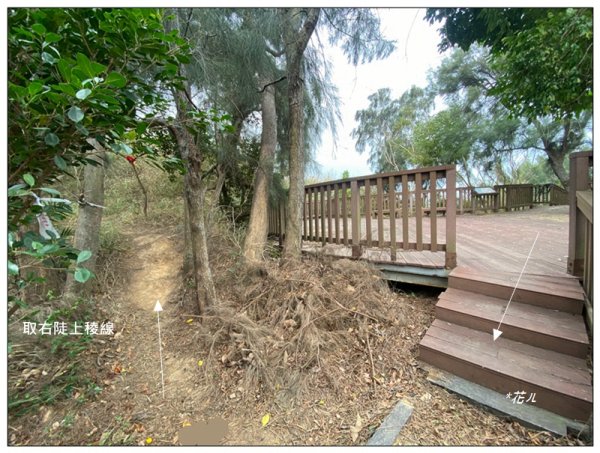 三媽縱走 ( 半天寮山、好望角、白沙屯山 連走 )2973285