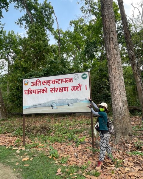 尼泊爾奇旺國家公園4天三夜2788984