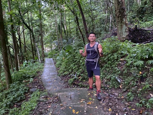 南庄.蓬萊溪護魚步道.四十二份坪步道.小東河步道【差點一事無成的七月暑假】2849351