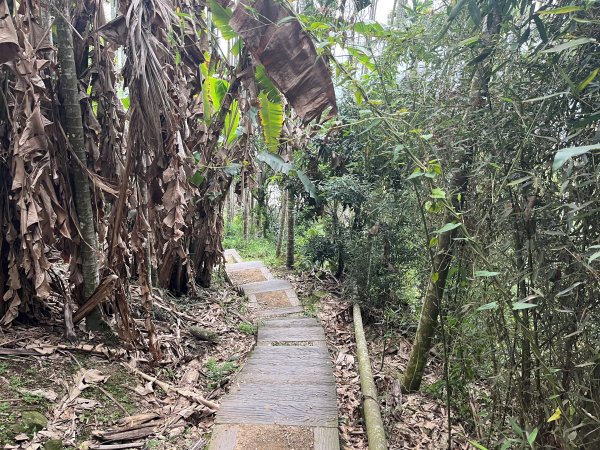 2023_0429_挑筍古道2138303