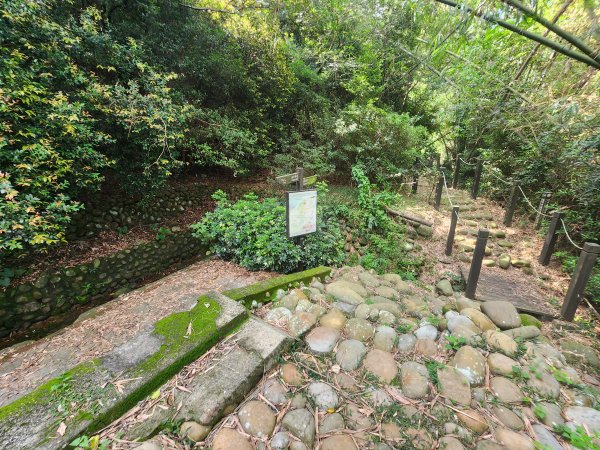 20250921學田山王田山大肚山大尖山竹坑山2928492