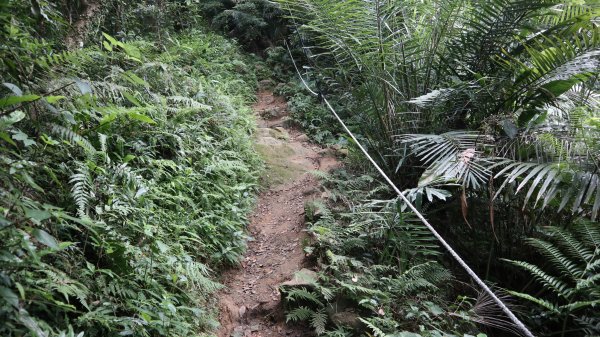 雙石縱走登山健行趣(小百岳24號&25號)2169398