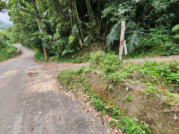 20250329東坑山八角崠山打鹿坑山2798875