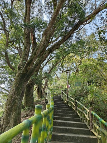 2024.03.17 竹東三山連走2900079