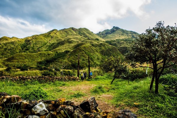 進入侏羅紀公園-劍龍稜820014