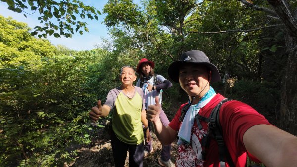 高雄 小崗山2927245