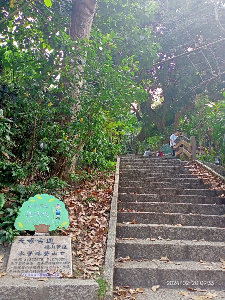 天母水管路步道→天母古道→陽明天主堂2432169