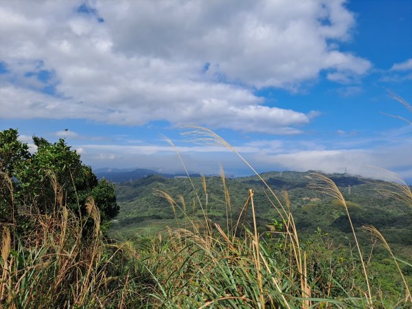 20240131瑞芳四秀：白象山→秀崎山→瑞芳山→龍潭山2443811