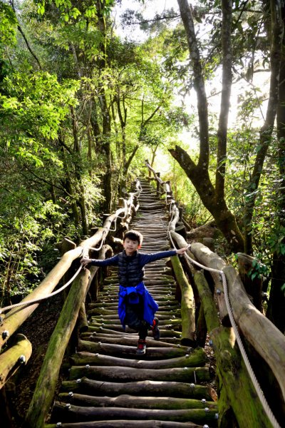 南觀音山,大坑4號頭嵙山545501