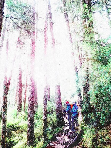 國慶日走雪主東464527