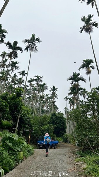 【嘉義竹崎】說好的稜線風景呢。阿拔泉山稜線步道連走獨立山O繞2684122