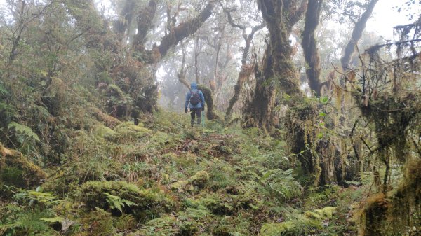 茶仁山單攻2025年4月4日2753334