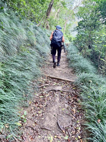 雙流帽子山悠遊  2025.01.032688545