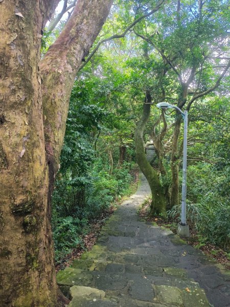 貴子坑報山步道2849849