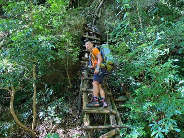 雙龍林道-巒安堂-西巒大山【一切都很美好 除了肩膀之外】2567826