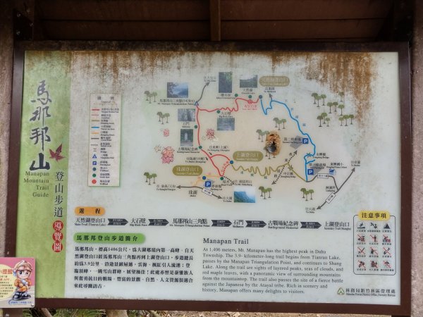 馬那邦山(小百岳#37)登山步道。點點楓紅 2020/12/131425306