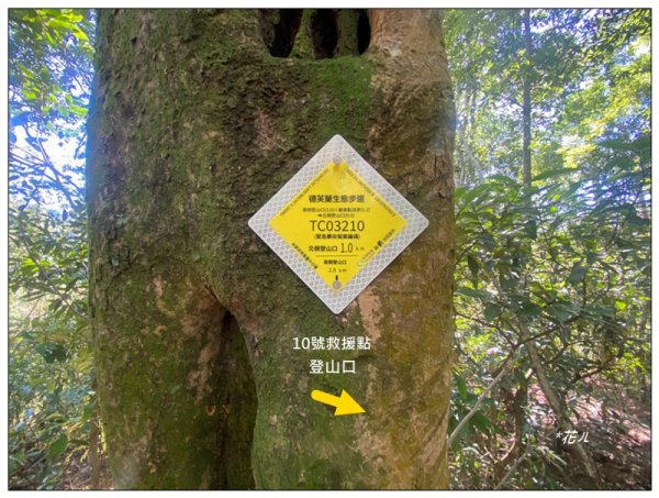 北松鶴山、德芙蘭步道 (台中 和平)2922145