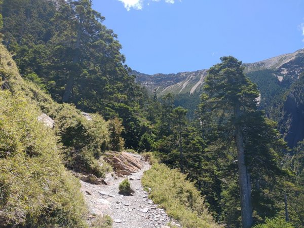 玉山主峰 北峰 西峰1035618