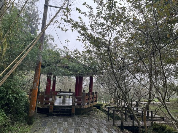 [嘉遊好步道．來嘉走走-04/10] 2024_1011 阿里山頂湖步道2624714