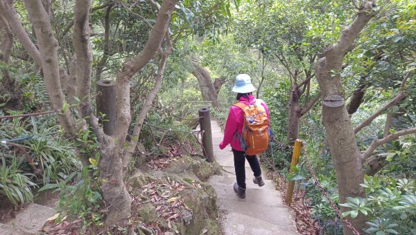 (姨婆趴趴走)第五十集:新北樹林大同山、青龍嶺、大棟山諸峰連走2751565