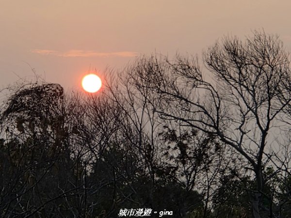 【台中烏日】知高圳步道x雪蓮步道x學田山3027131