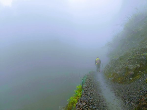 【新竹】觀霧迷幻森林：檜山巨木群步道1111876