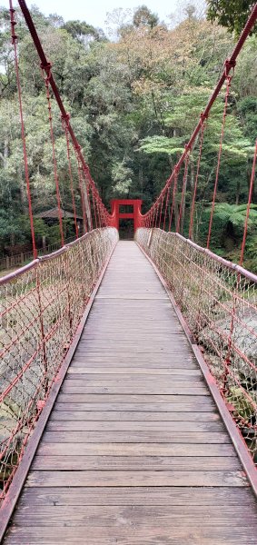 2023-01-01杉林溪青龍蕨類步道(青龍瀑布)、松瀧岩瀑布及天地眼步道1978855