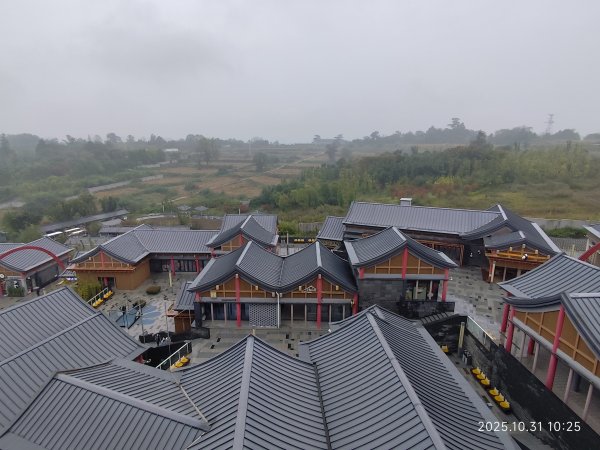 四川成都大熊貓繁育研究基地2940714