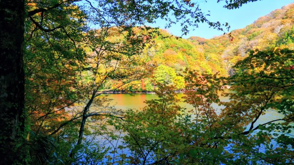 秋田縣白神山地十二湖2929765