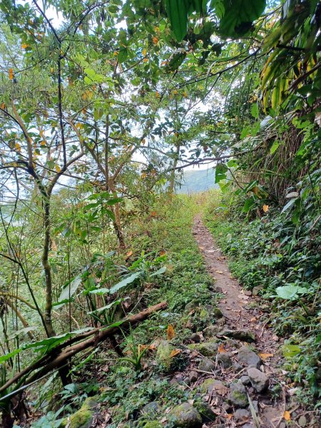 【台南白河】雞籠山+九龍山+大凍山O繞縱走2797137