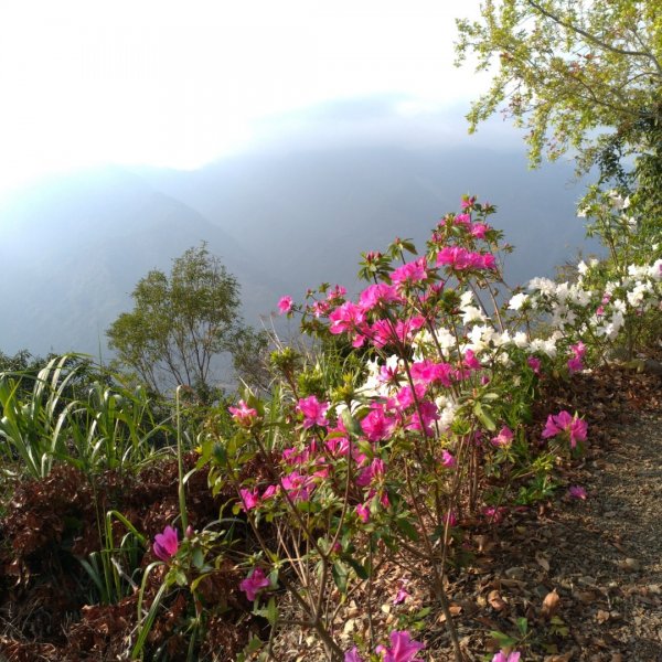 一條路走就對了>鐵本山⛰️⛰️⛰️846194