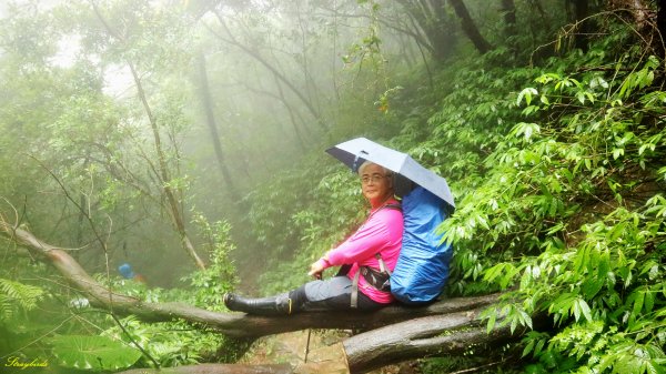 淡蘭古道深度旅遊~尋找古道上珍貴歷史遺跡754484