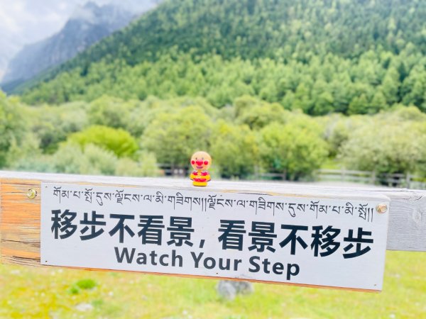 川藏深度之旅33天/A行程2901439