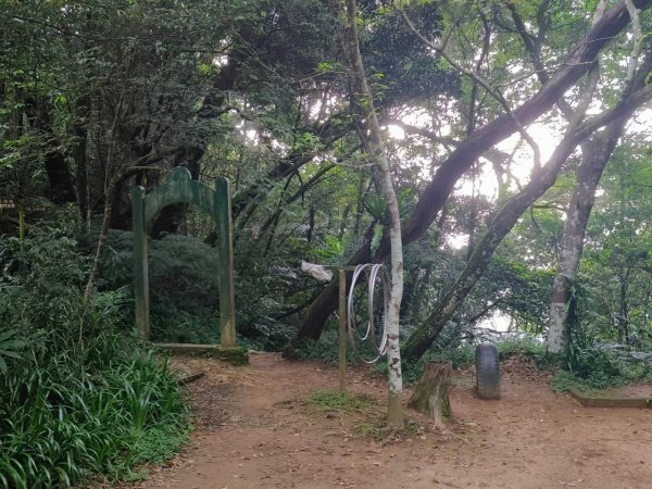桃園-溪州山3054508