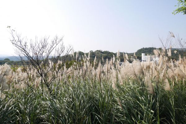 20141207秀才登山步道194221