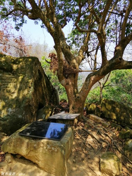 【台中。北屯】山頂視野佳。 小百岳集起來。編號42小百岳~南觀音山1373391