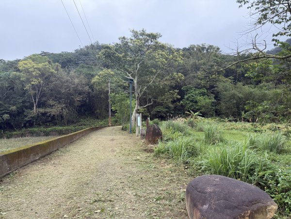 [樟之細路_第一大段RSA08] 2026_0328 小粗坑古道3025753