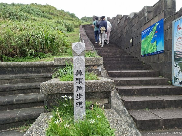 《新北》山海稜線｜瑞芳鼻頭角步道O繞202609183120108