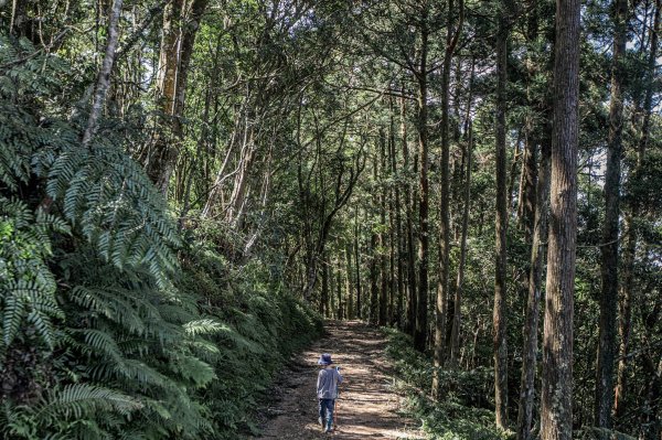 從新北走到宜蘭-坪溪古道 & 石空古道1839490